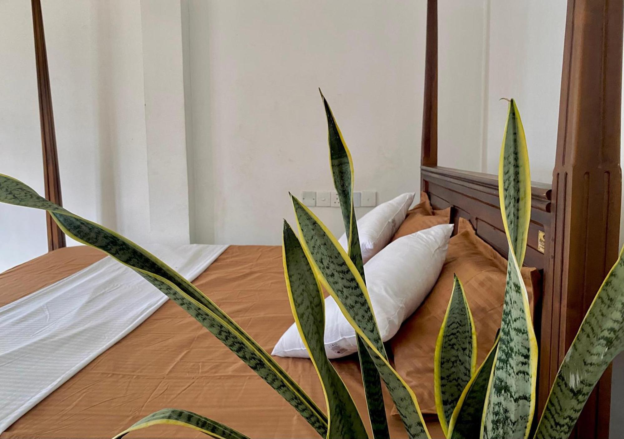 فيليغاما Sasmika Villa Surf And Yoga Hostel المظهر الخارجي الصورة