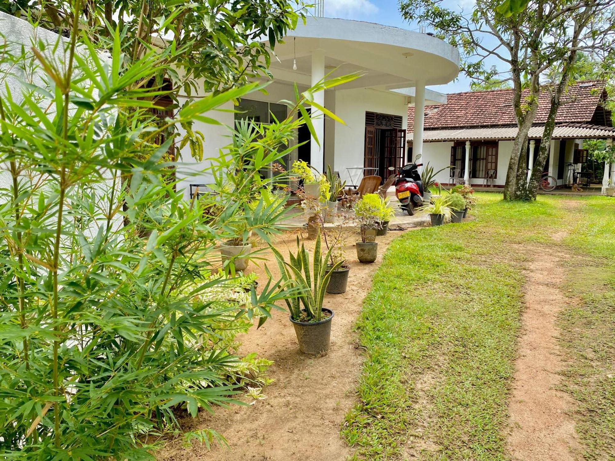 فيليغاما Sasmika Villa Surf And Yoga Hostel المظهر الخارجي الصورة
