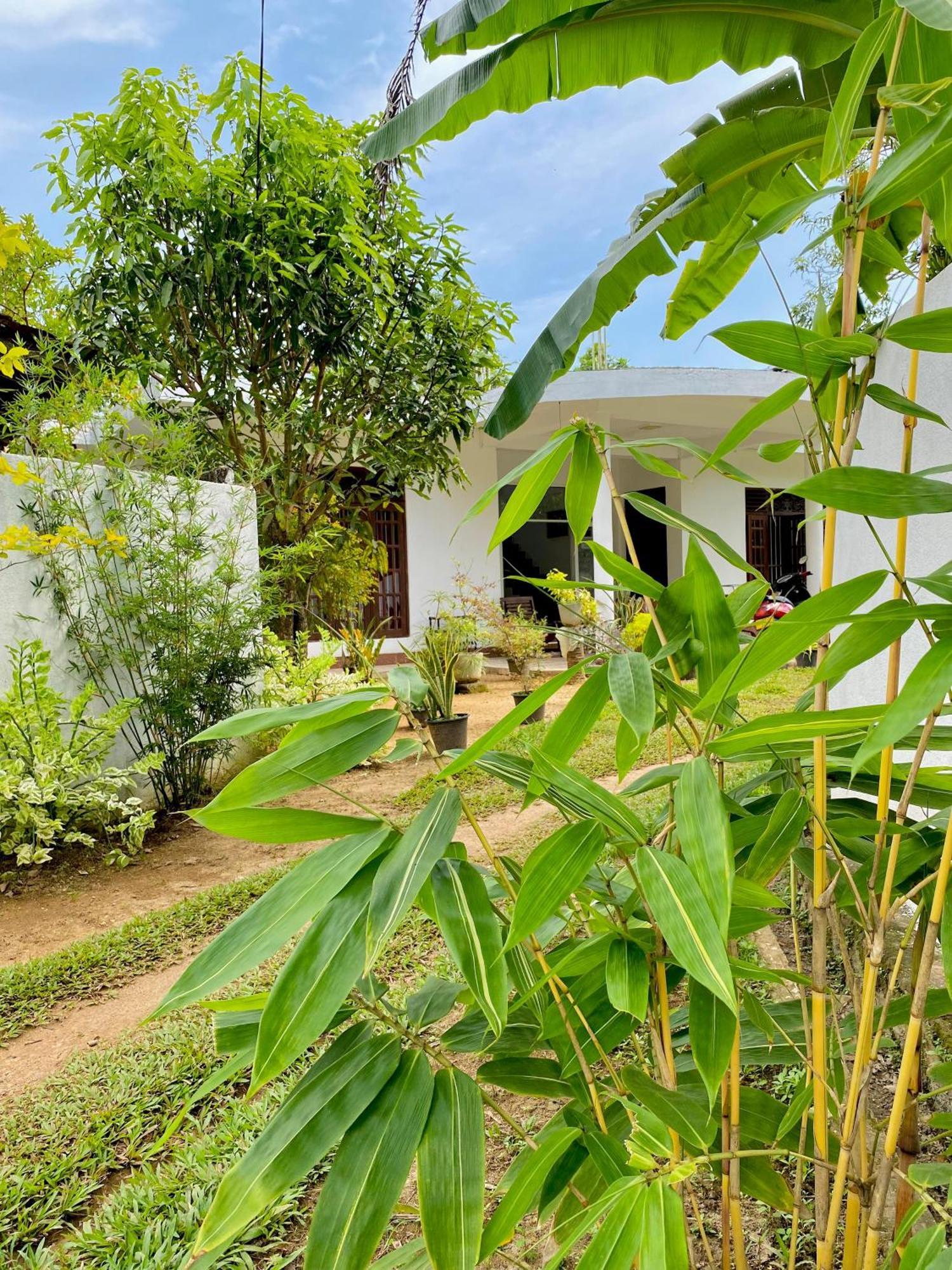 فيليغاما Sasmika Villa Surf And Yoga Hostel المظهر الخارجي الصورة